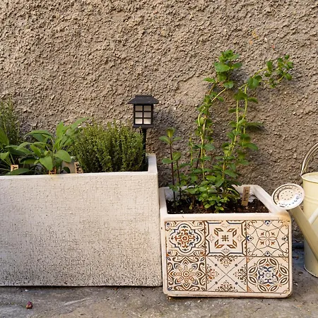 Apartment Modern By Honey Homes