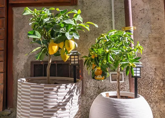 Modern By Honey Homes Sala Comacina