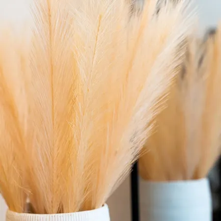 Modern By Honey Homes