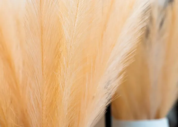 Modern By Honey Homes